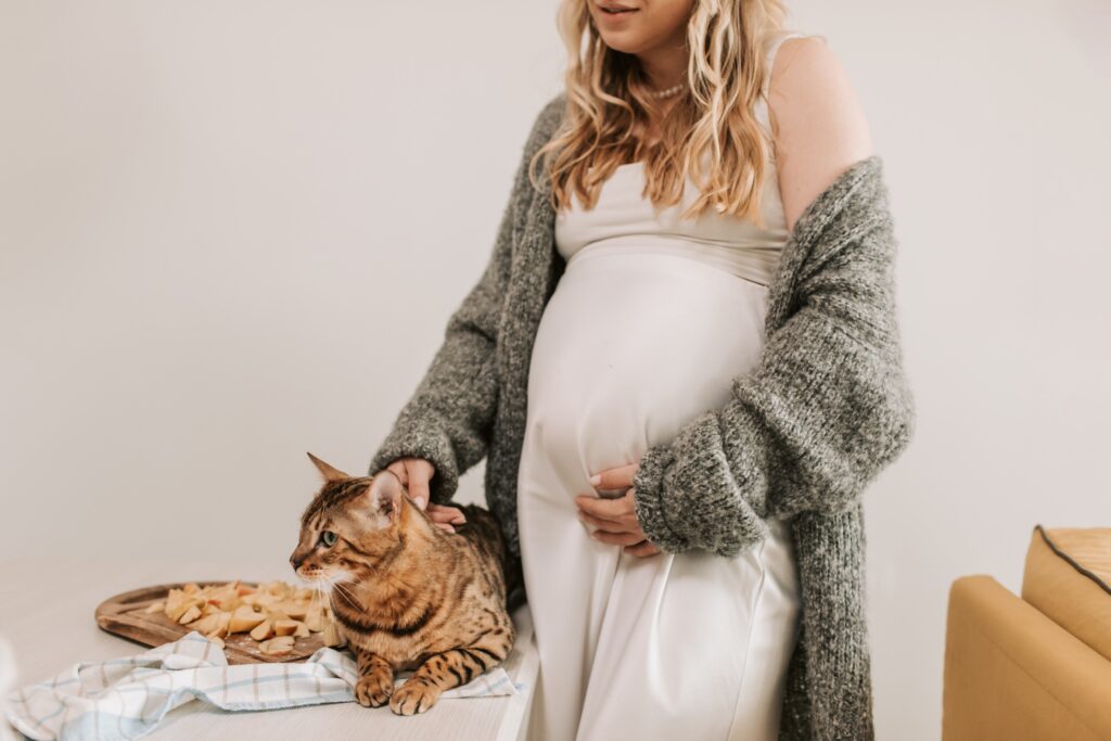 Como preparar seu gato para a chegada de um bebê na família?
