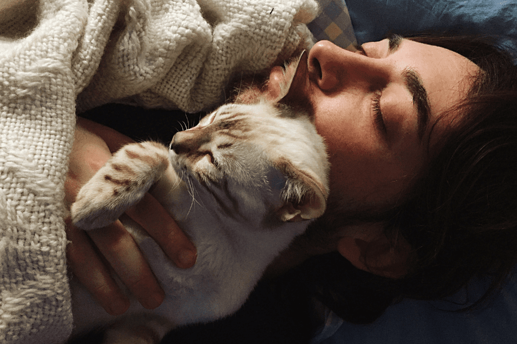 Guia básico de como cuidar do seu gatinho (4)